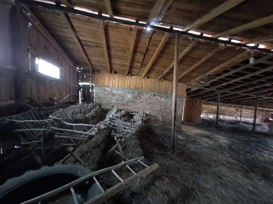 Saivan 480 mp + fanar + coșer + teren intravilan – utilat, curent, Cenade Alba