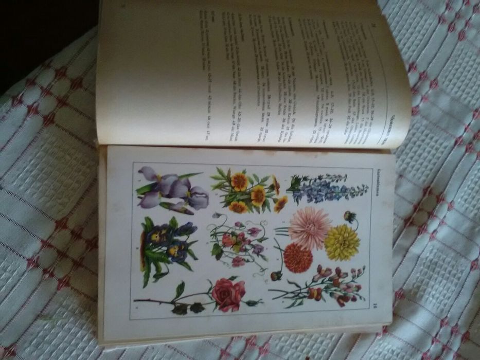 Илюстровани речници на немски и български езици