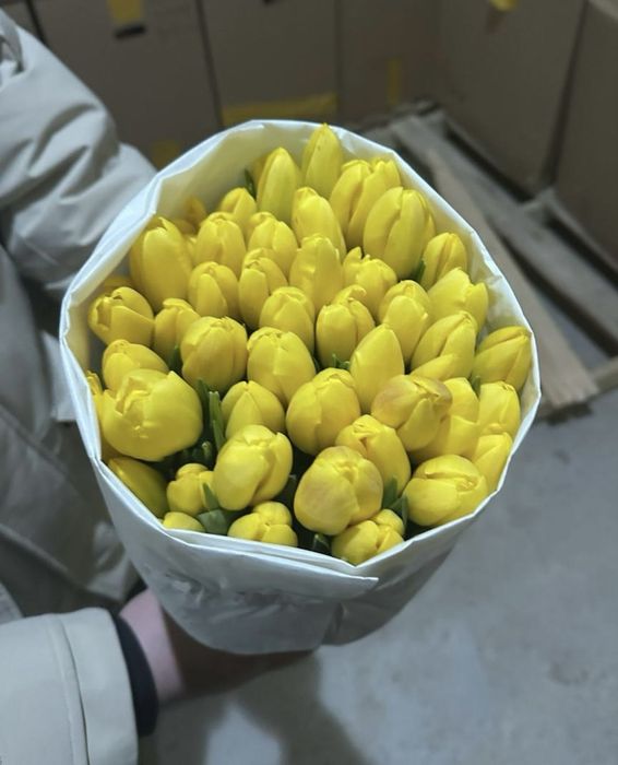 Тюльпаны ПРЕМИУМ СОРТ! Гиганты!