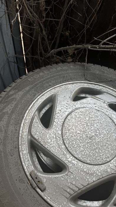 nordman шины продам