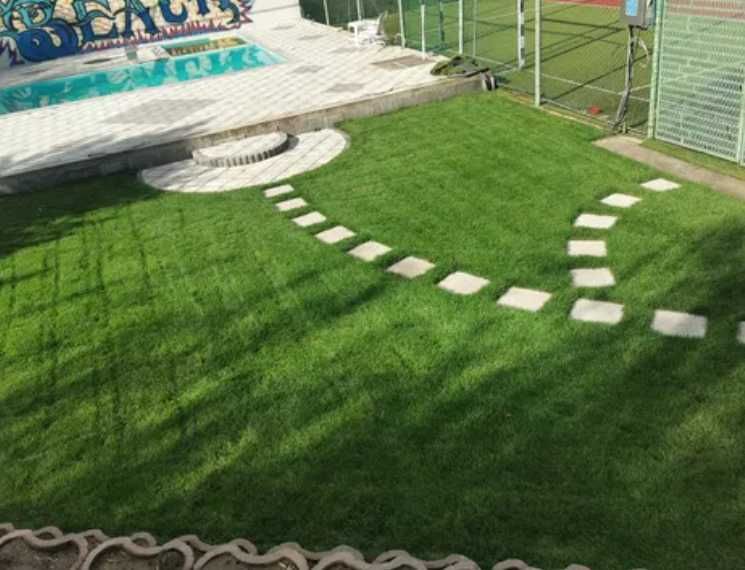 Gazon Rulou Premium pentru Curti si Spatii Verzi