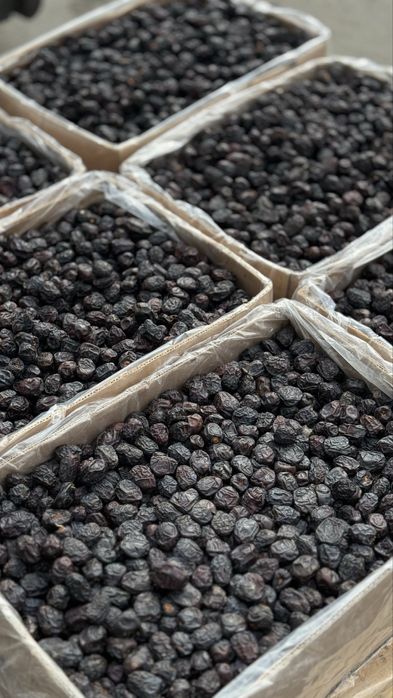 Финики, Саудия, Рамадан!