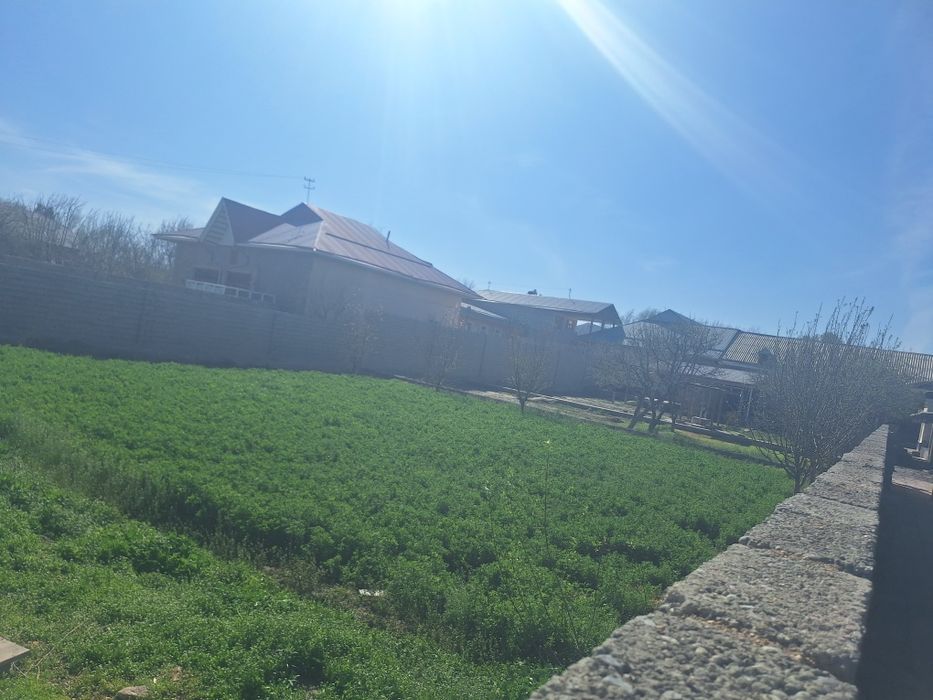 Srochniy narxda sotladi 20 sotx