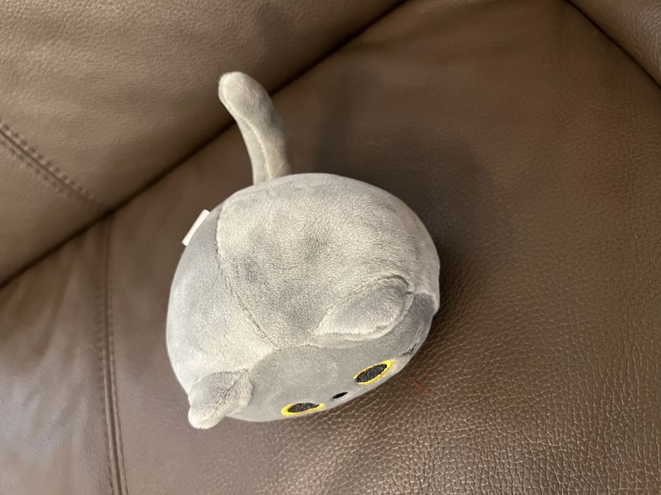 Плюшки - капибара, коте