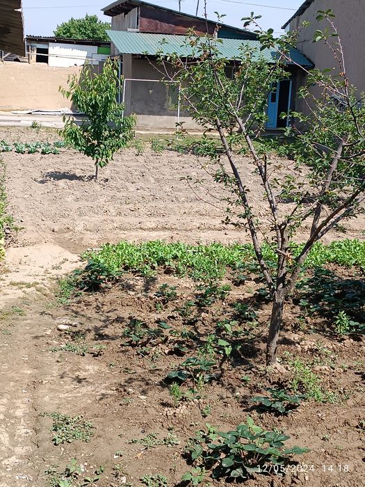 Kafolati bor yaxshi joy