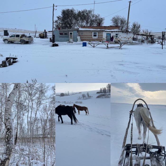Крестьянское хозяйство