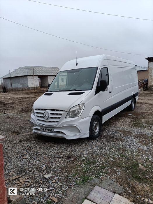 Alo holata bolgan mers