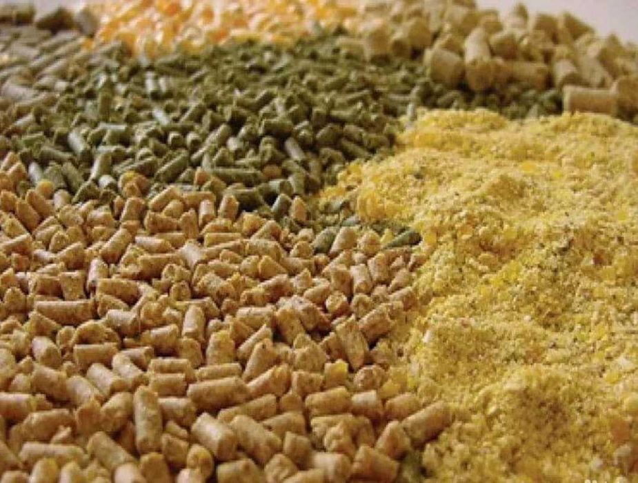 Lucerna granulata, grau, orz, porumb, sroturi floare/soia, uruiala