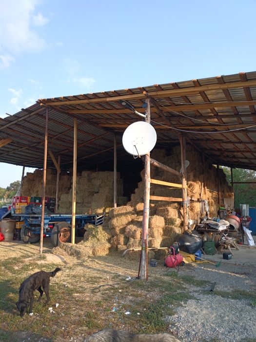 VAND FERMA 87000 euro negociabil