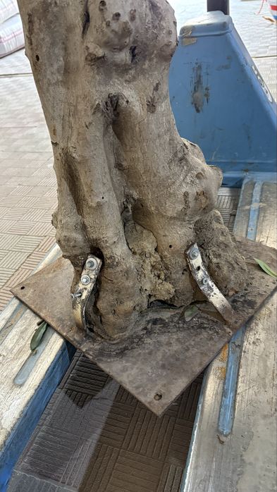 Искусственный дерево