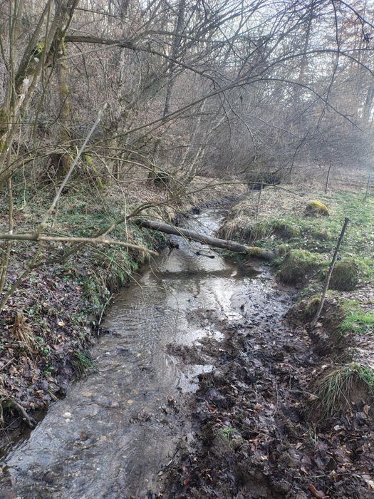 Casă cu teren 2 hectare intravilan