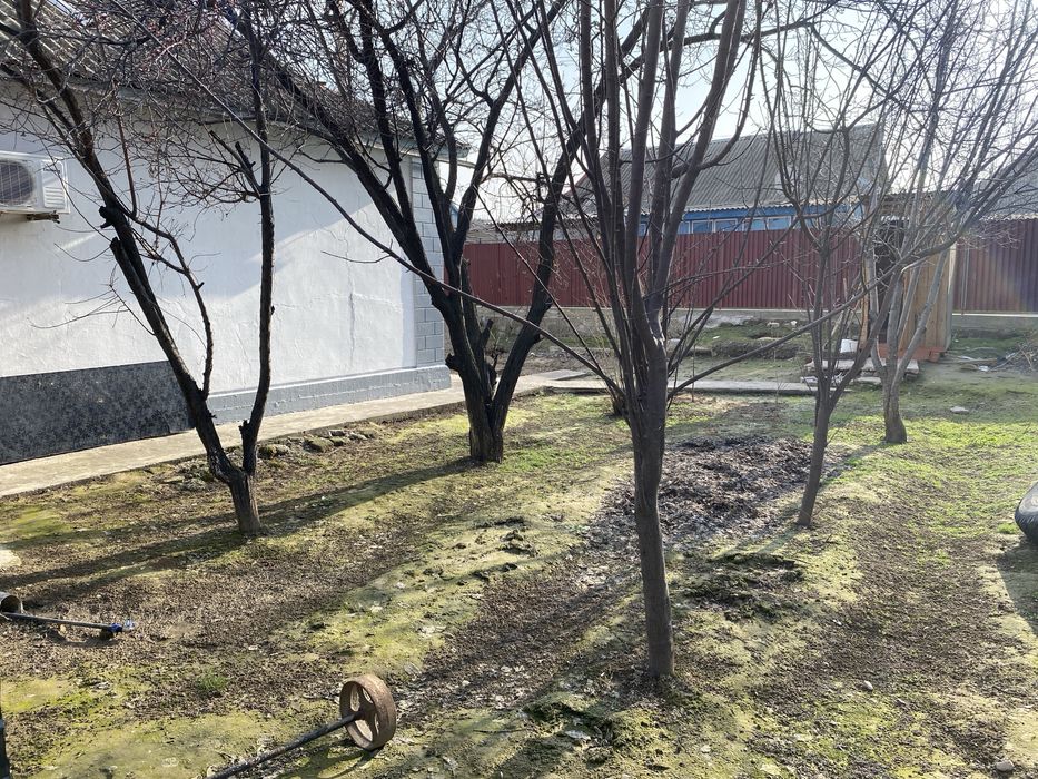 Жеке үй қаланың ортасында