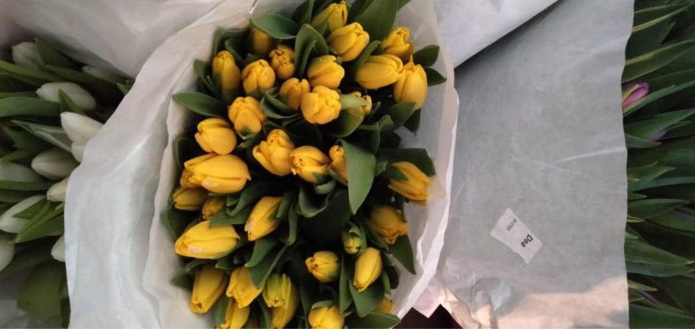Тюльпаны на 8 Марта с оформлением 370