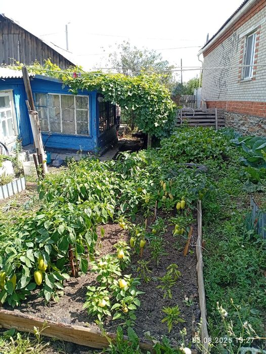 Продам частный дом