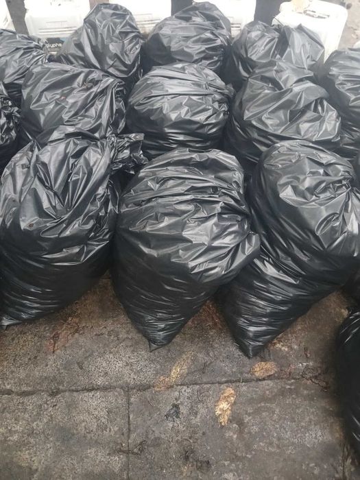 Prune coapte pentru preparate(Stanley si Eduard)