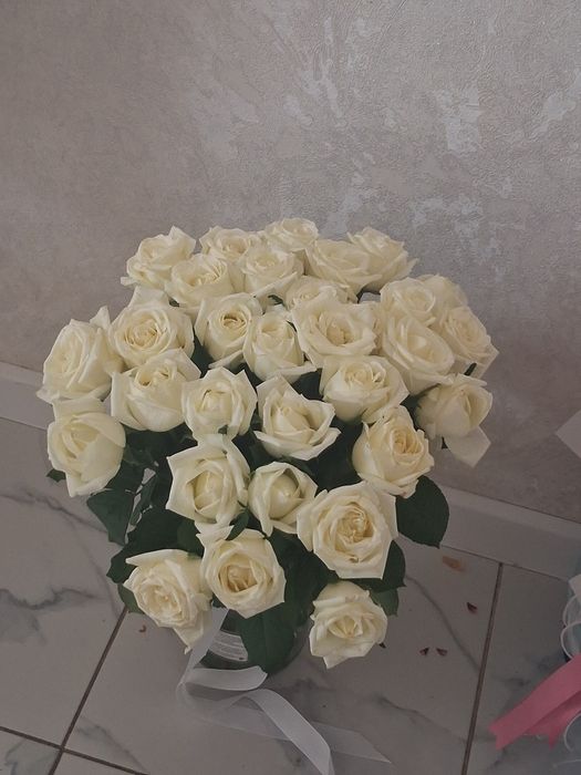 Продам цветы белый роза