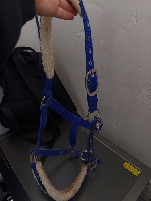 Продам недоуздок COB