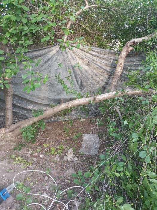 Utin bor bepulga olib ketiw kerak