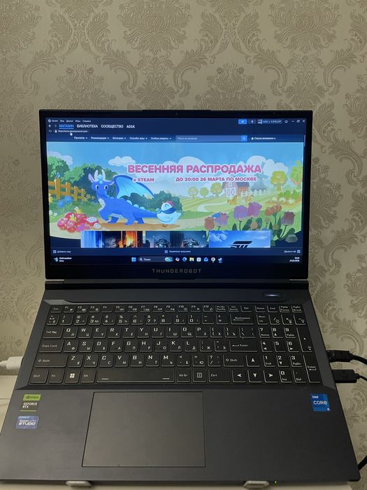 Игровой ноутбук ThundeRobot 911S Core D