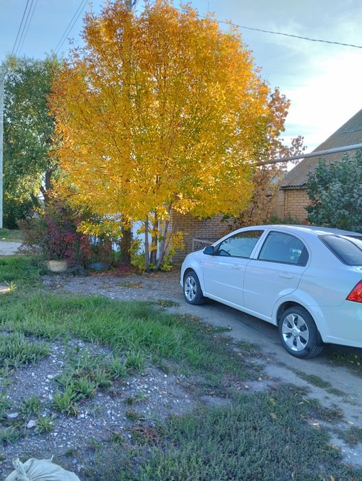 Прополоть огород