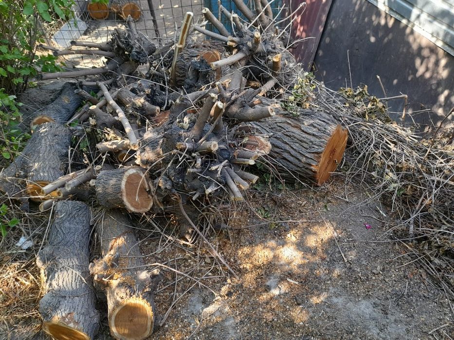 Дрова пиленные самовывоз