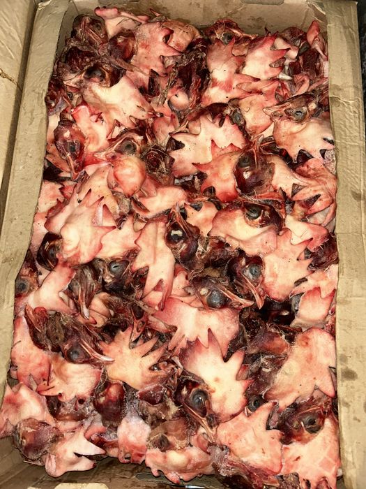 Куриные лапы, головы