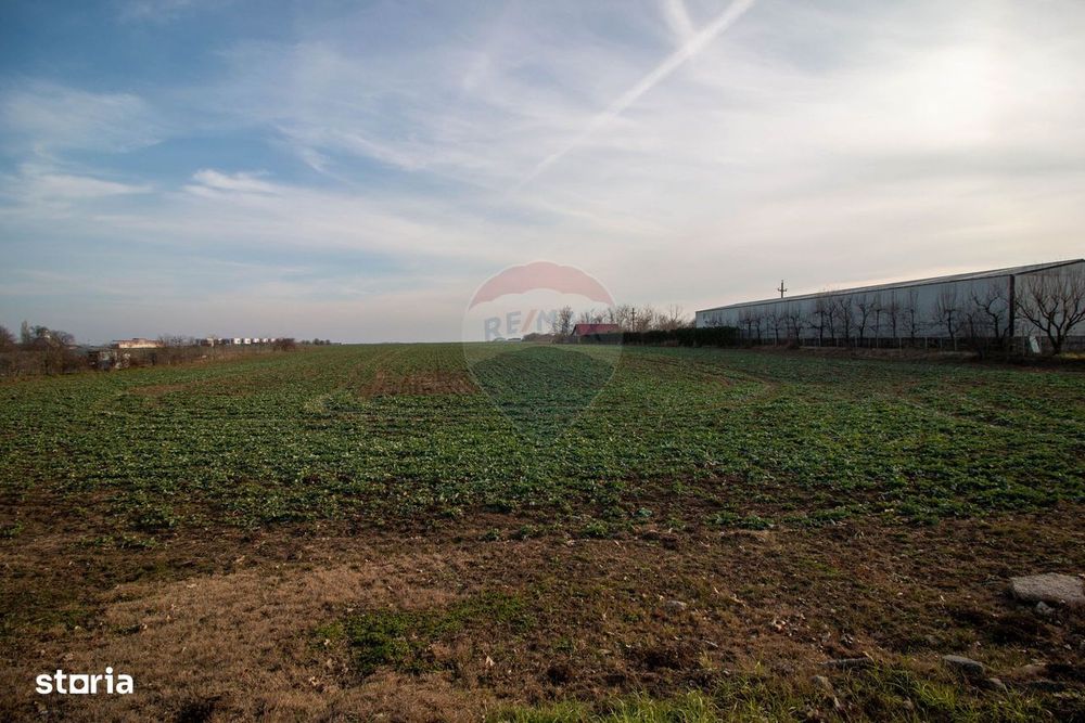 Teren Intravilan de vanzare 21000 mp Balotesti Central Soseaua Unirii