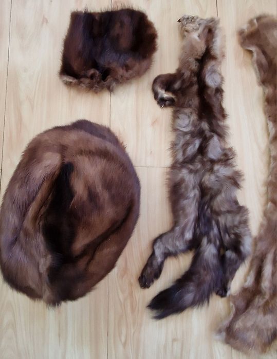 Шкурки   Шкурки   Шкурки