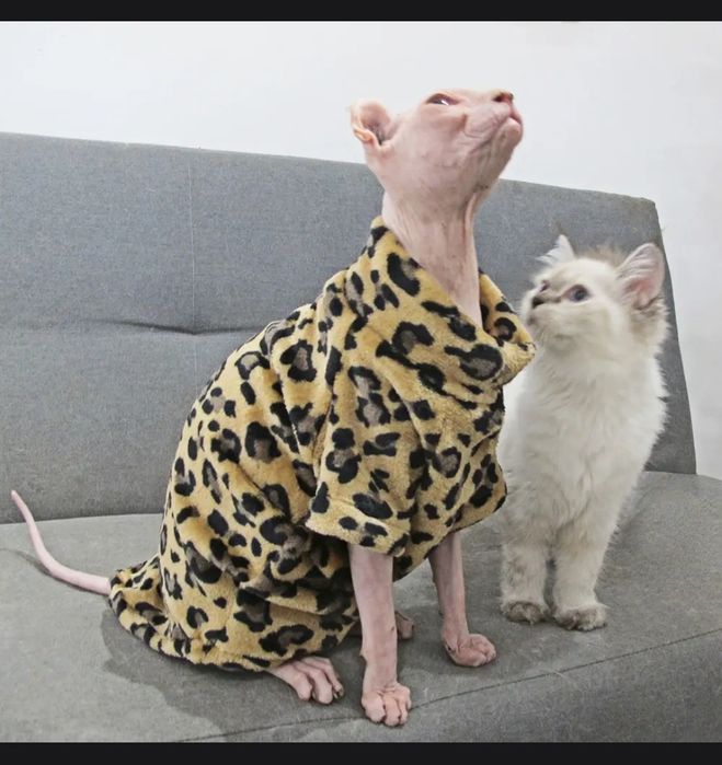 Продаю. Одежда для кошек и собак.