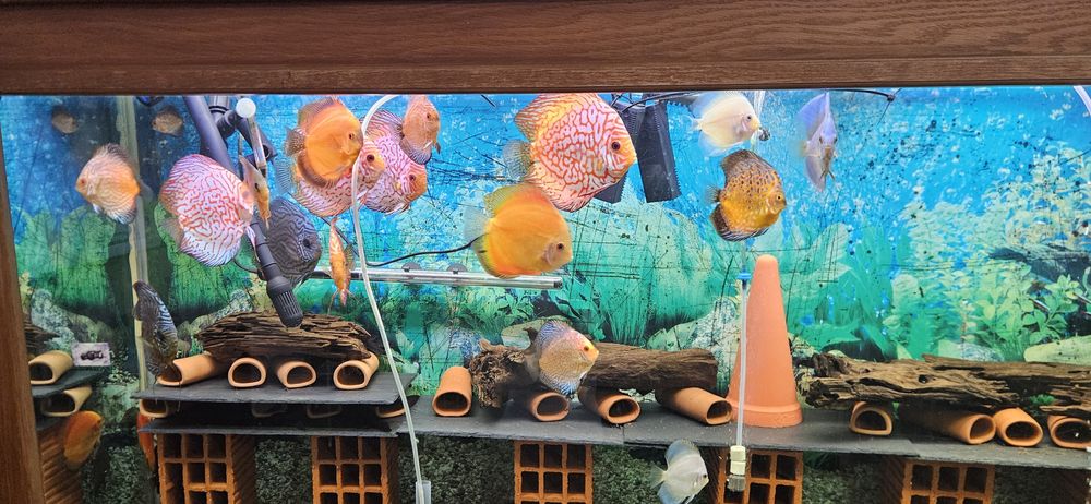 Аквариум 612л + филтри