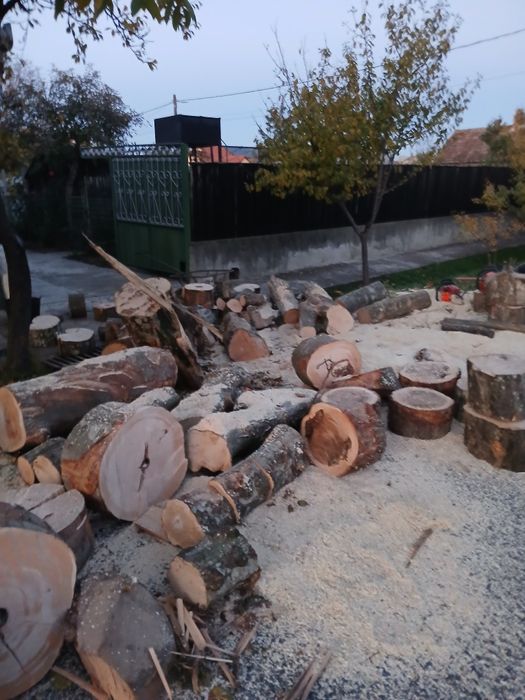 Husqvarna 455 Rancher semi profesional