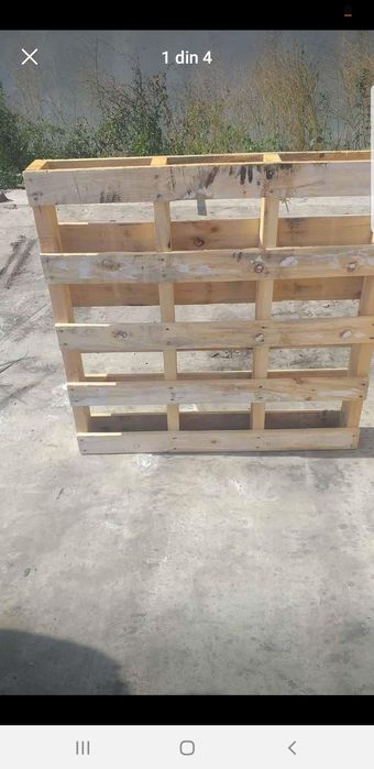 Paleti 20 lei bucata la topraisar