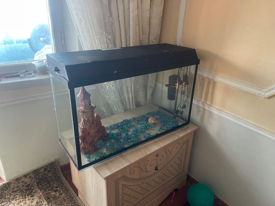 Большой аквариум