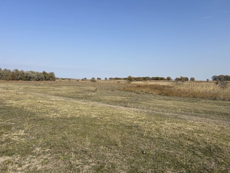 Участок под фазенду КХ