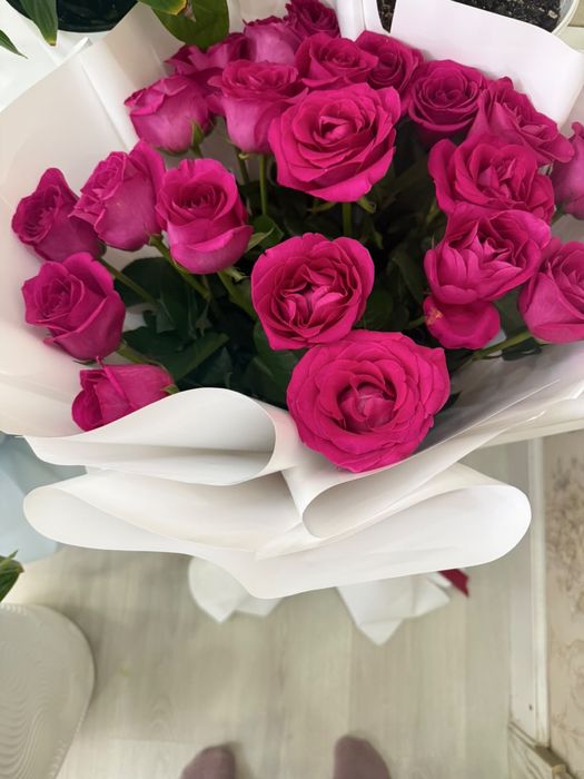 Свежие розозовые розы
