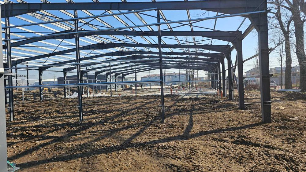 Construcții Hale Metalice – Soluții Integrate Hortishop SRL