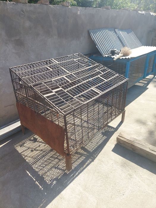 Клетки для крылатых