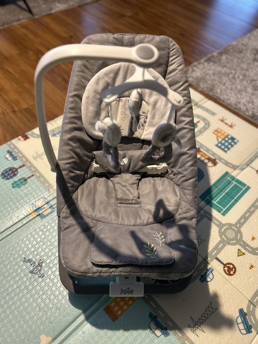 Balansoar cu vibratii si muzica Dreamer, Fern, 0luni-13Kg, Joie