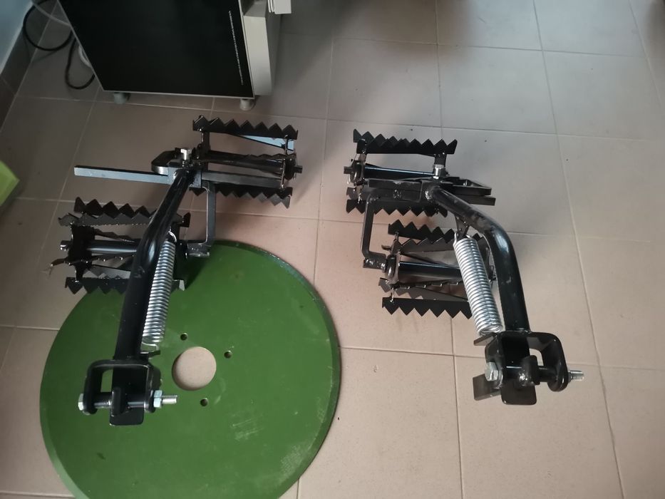 Tavalugi prasitoare rarita