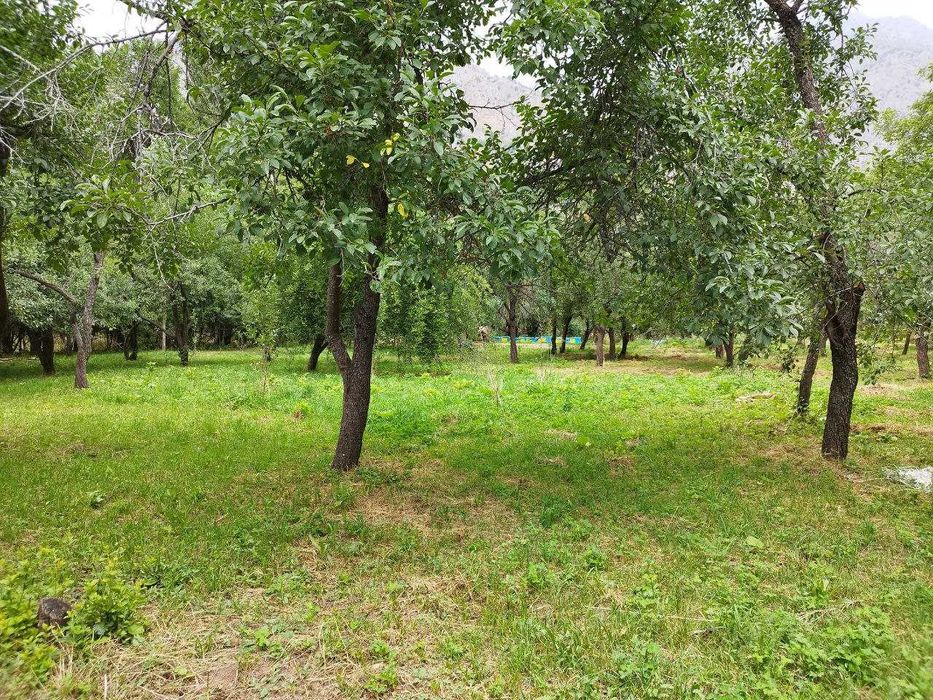 Дача в горах 47 сот {Палванак}