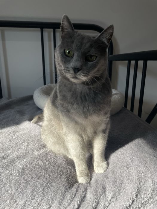 Stormi isi cauta casuta