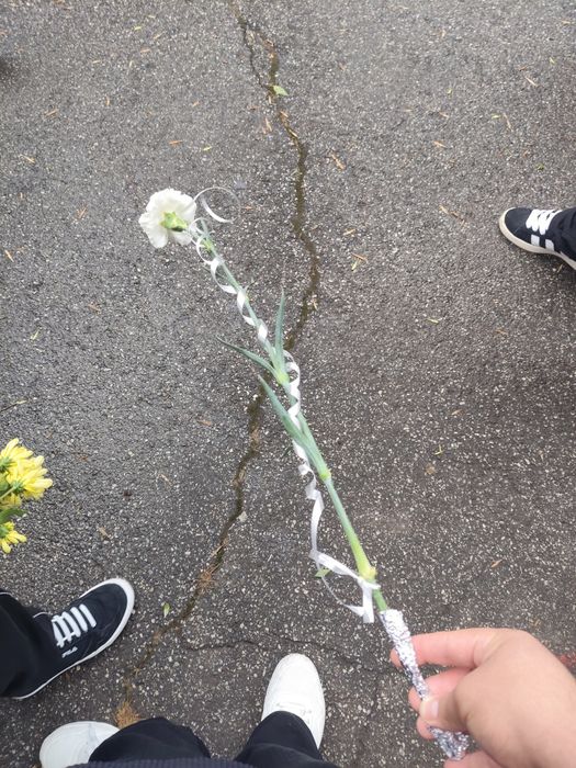 Vând floare nefolosita ( de clasa a 12-a )