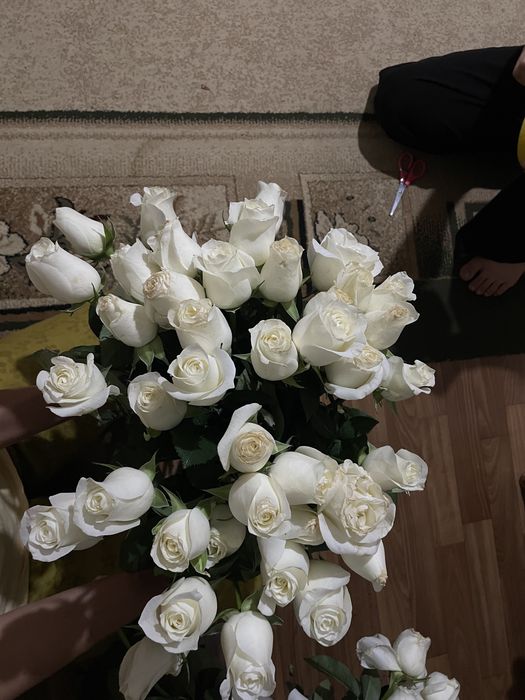 Срочно сатылады 51 роза