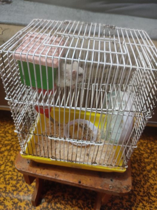 Клетка для хомяков