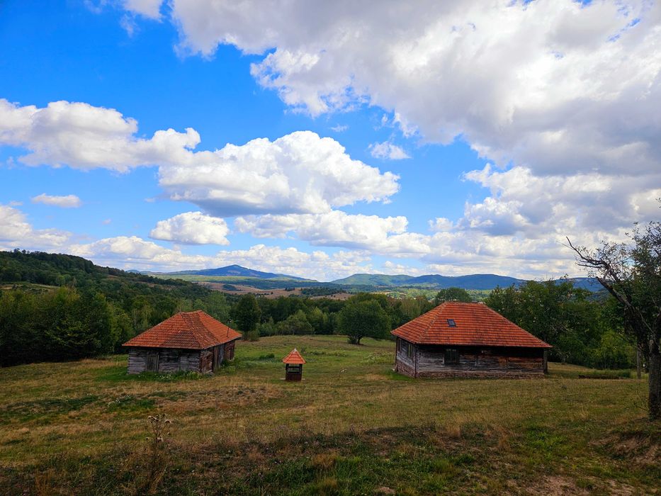 Poiană privată, pădure și casă- Negreni | Proprietate cu potențial turistic