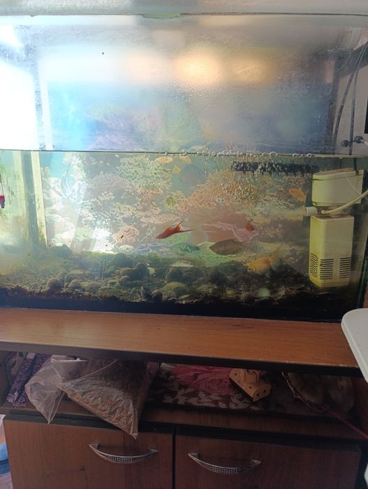 Аквариум с рыбками