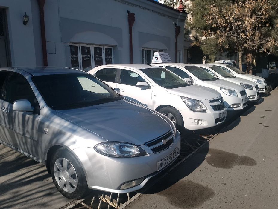 Arenda avto (Prokat).