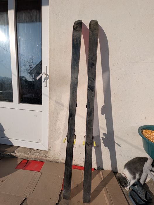 Schiuri in perfecta stare