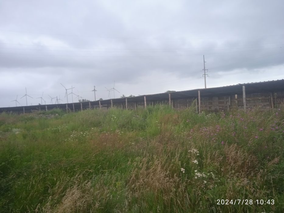 Красыни яр дан жер сатам