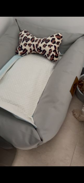 Catelus matipolo/pudel mini toy